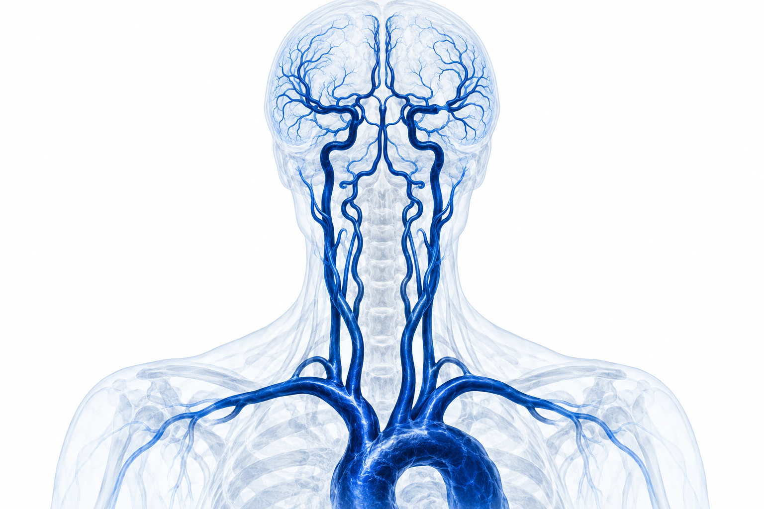Synthetic arch-to-vertex CTA survey of the head and neck arteries